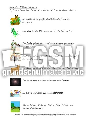 Wörter-mit-chs-x-zuordnen-LÖ-1.pdf